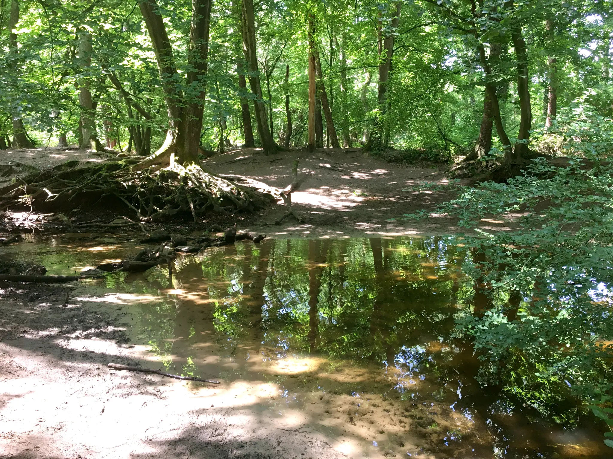 Rotbach Naturschutzgebiet